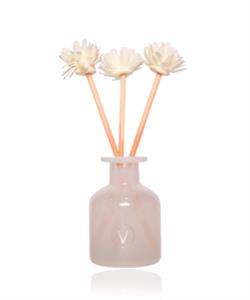Fragranza per l'Ambiente con Diffusore Naturale - Aloe Spa